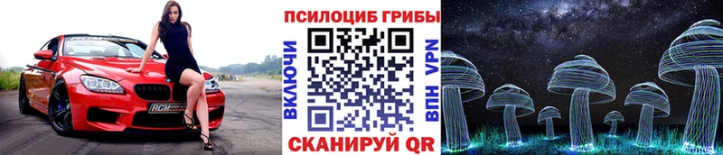 Галлюциногенные грибы MAGIC MUSHROOMS  купить  сайты  Верхняя Пышма 